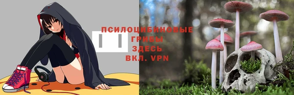 mdpv Нижний Тагил