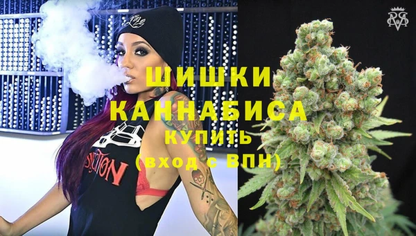 Альфа ПВП Бородино